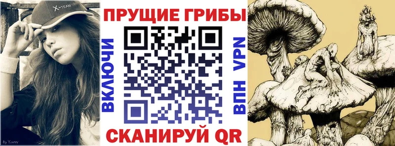 Псилоцибиновые грибы Psilocybine cubensis  Шали 