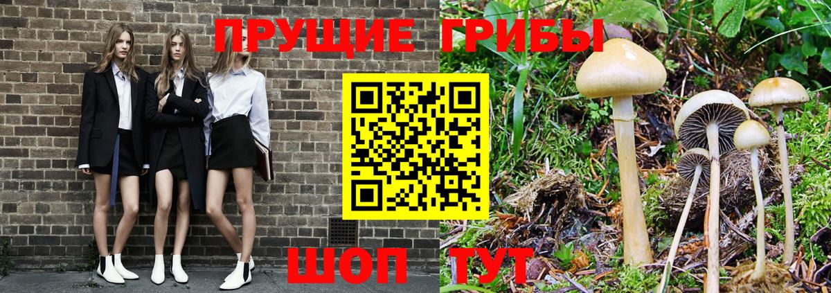 Галлюциногенные грибы Psilocybine cubensis Шали