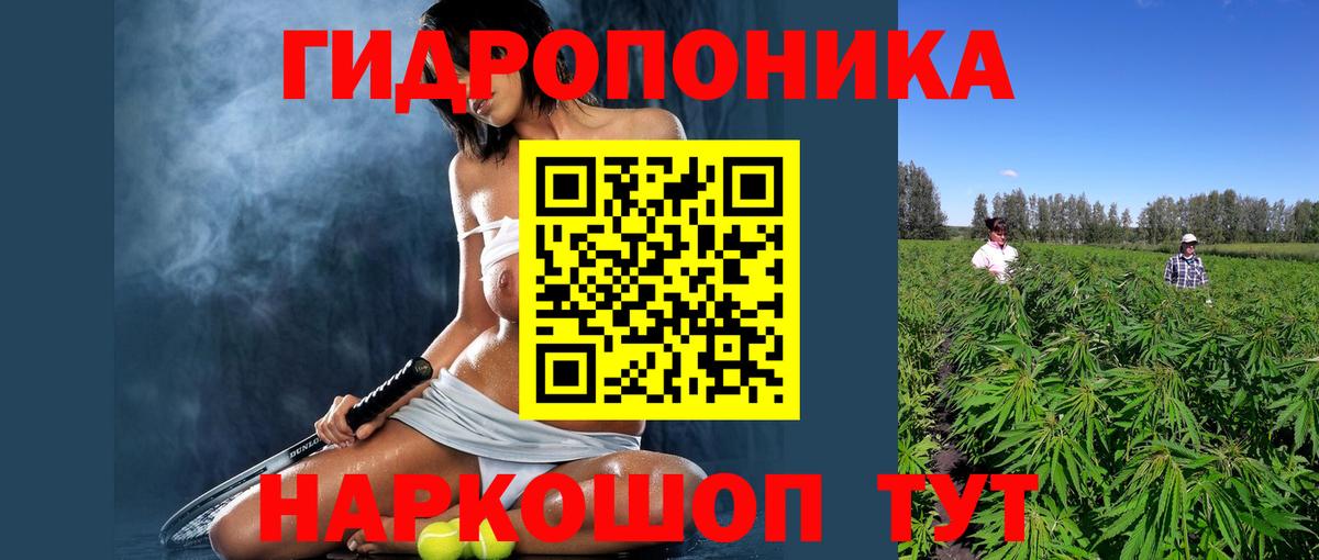 Бошки марихуана сатива Шали